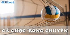 Thông tin về cá cược bóng chuyền 8xbet là gì?