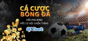 Cá cược bóng đá 8xbet: Mẹo hay để đổi đời