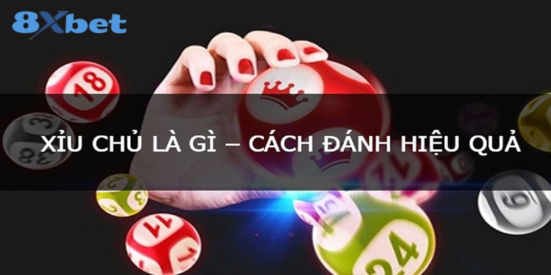 Cách hiệu quả soi cầu xỉu chủ là gì?