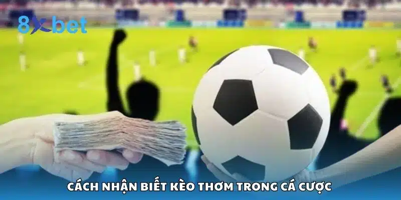 Cách nhận biết kèo thơm trong cá cược
