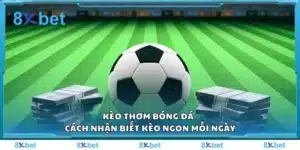 Kèo thơm bóng đá - Cách nhận biết kèo ngon mỗi ngày